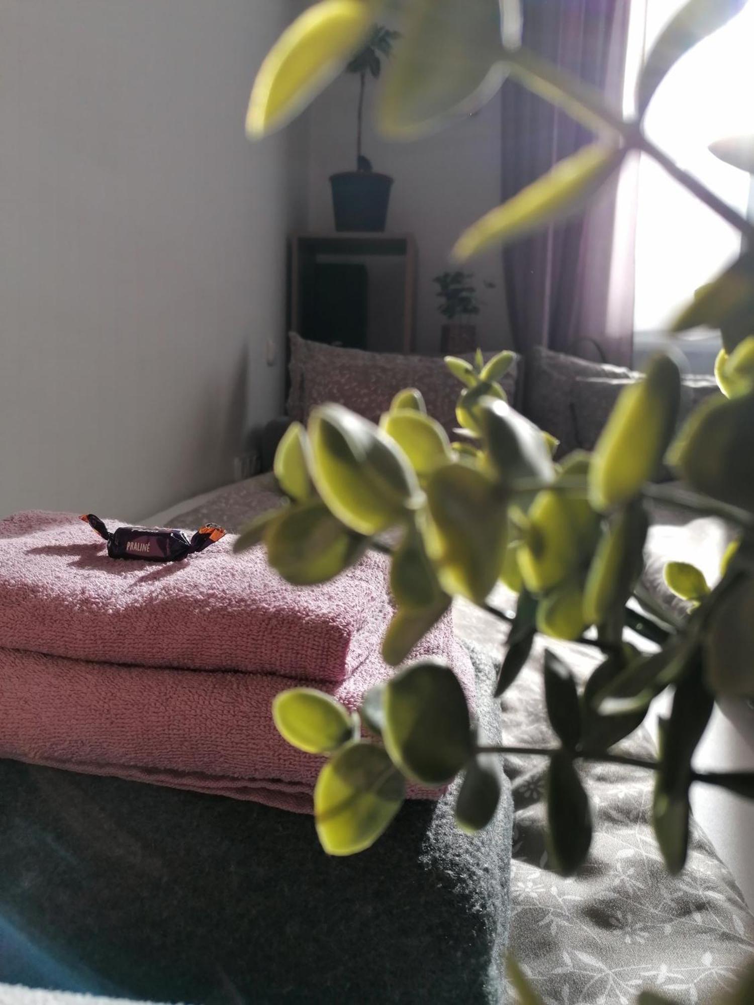 Apartamento A Jump From Downtown Budapest